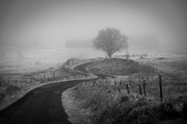 Le serpentin de bitume