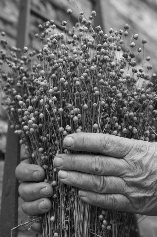 Un bouquet de Capsules